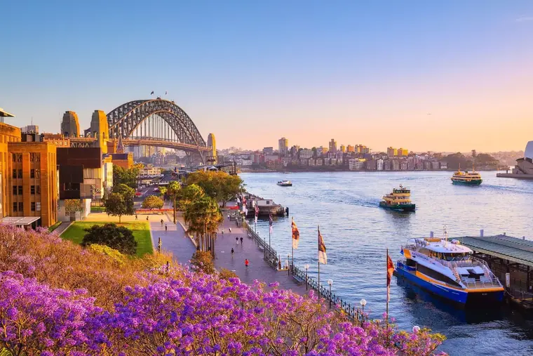Sydney Harbour, the Harbour Bridge and the Opera House, with jacaranda in flower.