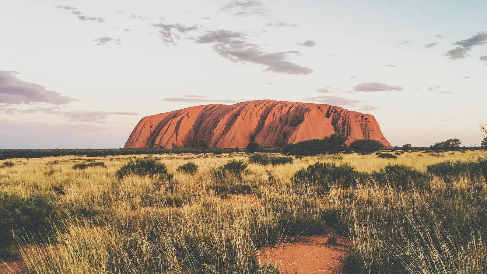 Uluru in Central Australia, with spinifex grass in the foreground.