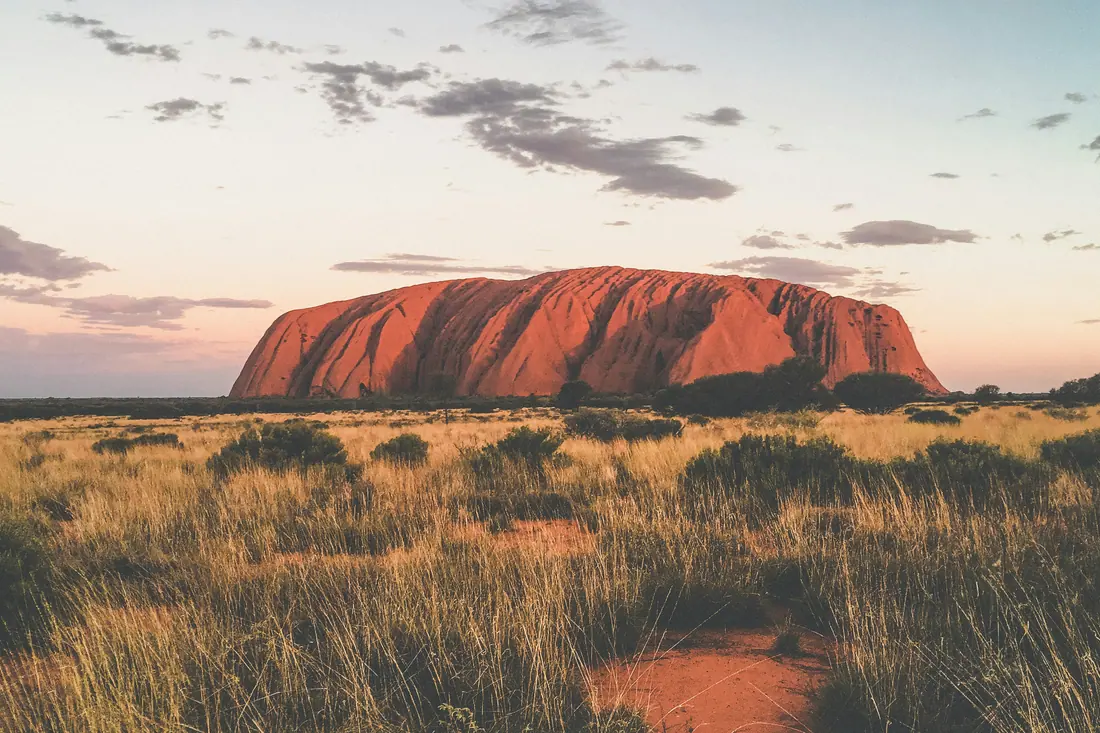 Uluru at sunset in Central Australia, with spinifex grass in the foreground.
