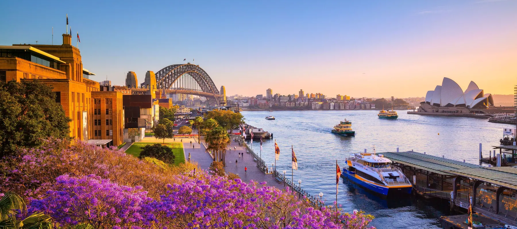 Sydney Harbour with the Harbour Bridge and the Opera House, and jacaranda in flower.