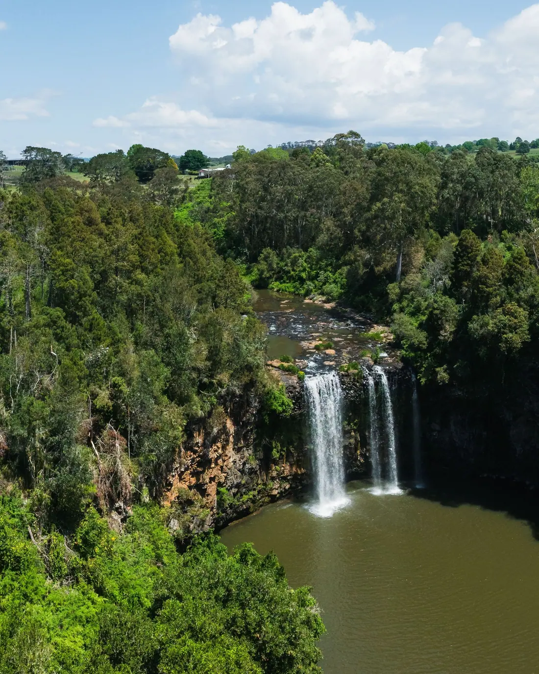 A waterfall in subtropical rainforest.