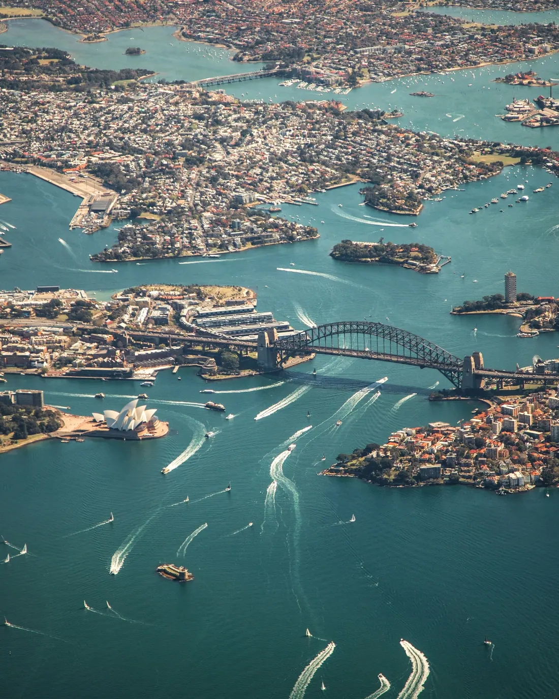 Sydney Harbour from the air.